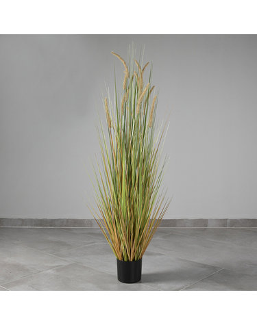 강아지풀 조화(브라운그린아이보리)(150cm) 인조갈대