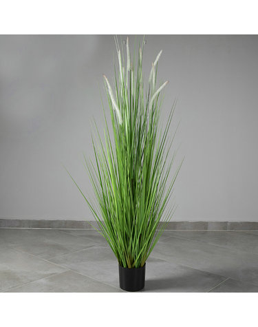 강아지풀 조화(그린화이트)(150cm) 인조갈대