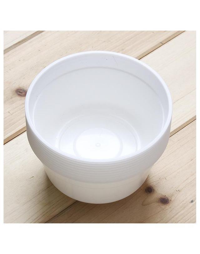 비투비월드 10p 롯데 이라이프 다회용 위생공기(15cm) 착용컷