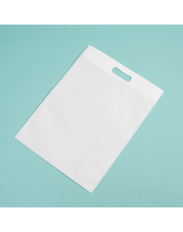 비투비월드 컬러 부직포 가방 10p(25x35cm) (화이트) 기프트백 착용컷