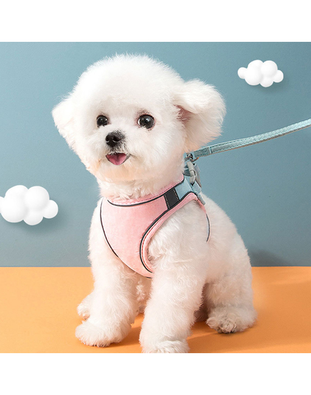 비투비월드 반려동물 빛반사 하네스+리드줄(M) 고양이 야간하네스 착용컷