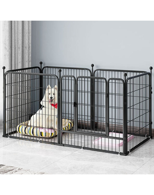 비투비월드 애견 철제 펜스 (70cmx80cm) (블랙) 착용컷