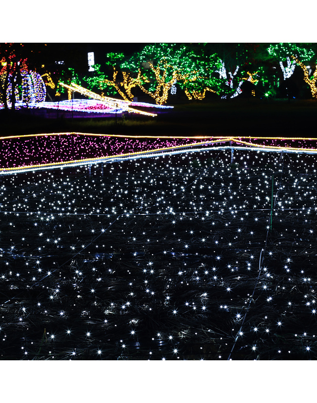 도토로 [도토로]은하수 100구 투명선 LED 백색 지니전구(10M) (전원잭포함) (연결가능) 착용컷