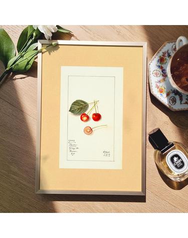 [아트밀] 앤틱 오브제 꽃 과일 명화그림 액자 30종 - e29 체리 콕콕