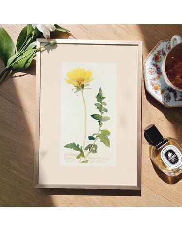 [아트밀] 앤틱 오브제 꽃 과일 명화그림 액자 30종 - e16 Balsam Root