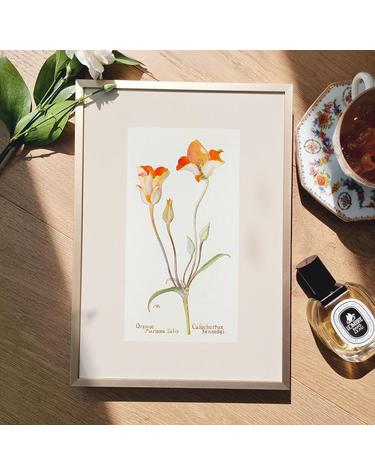 [아트밀] 앤틱 오브제 꽃 과일 명화그림 액자 30종 - e12 Orange Tulip
