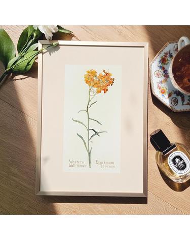 [아트밀] 앤틱 오브제 꽃 과일 명화그림 액자 30종 - e11 Western flower