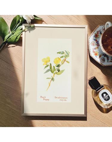 [아트밀] 앤틱 오브제 꽃 과일 명화그림 액자 30종 - e09 Bush Poppy