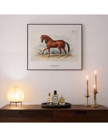 [아트밀] 붉은말 복테리어 말 그림액자 12종 - HORSE 06 페루비안 파소