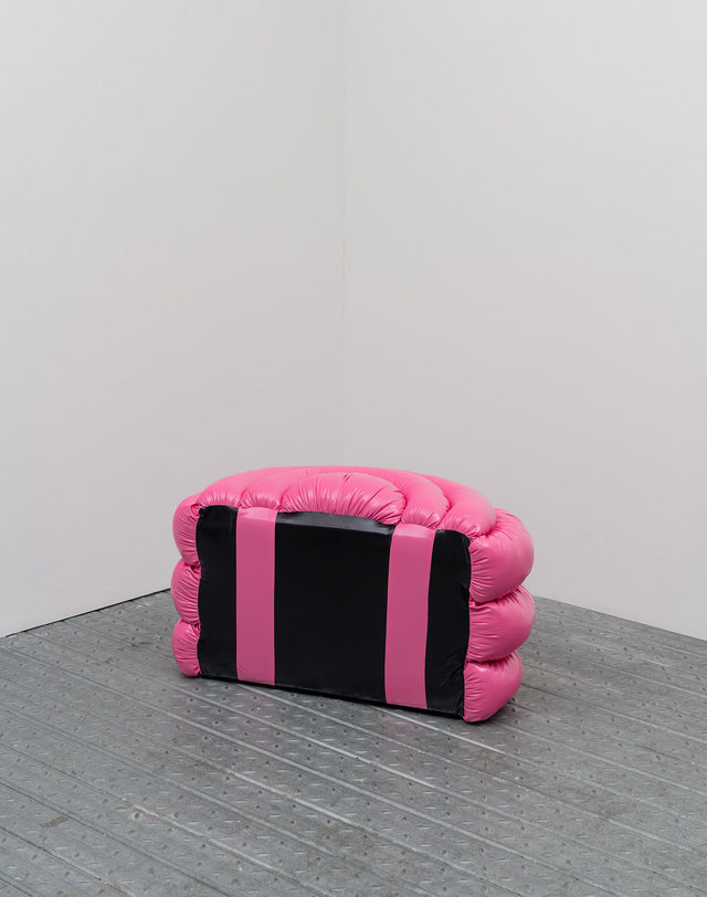 서수현 Half Plumpy in Pink 착용컷