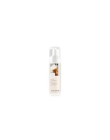 아르데코 페이스 화이트 티 클렌징 폼 150ml