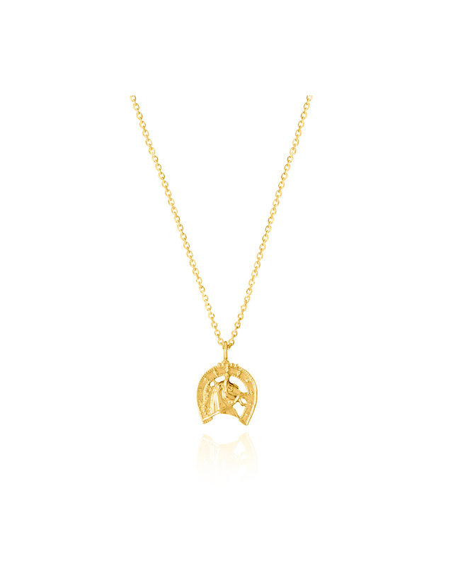 에니르 ARABELLA HORSE NECKLACE - N1018 착용컷