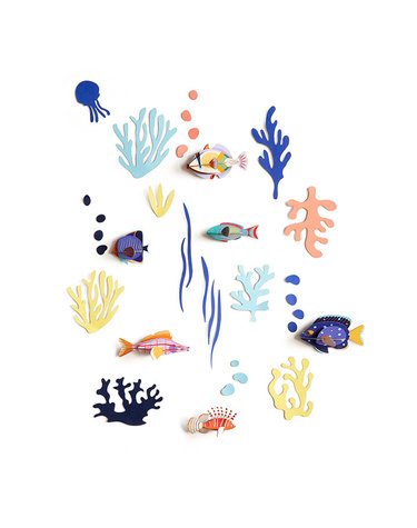 Fish Hobbyist