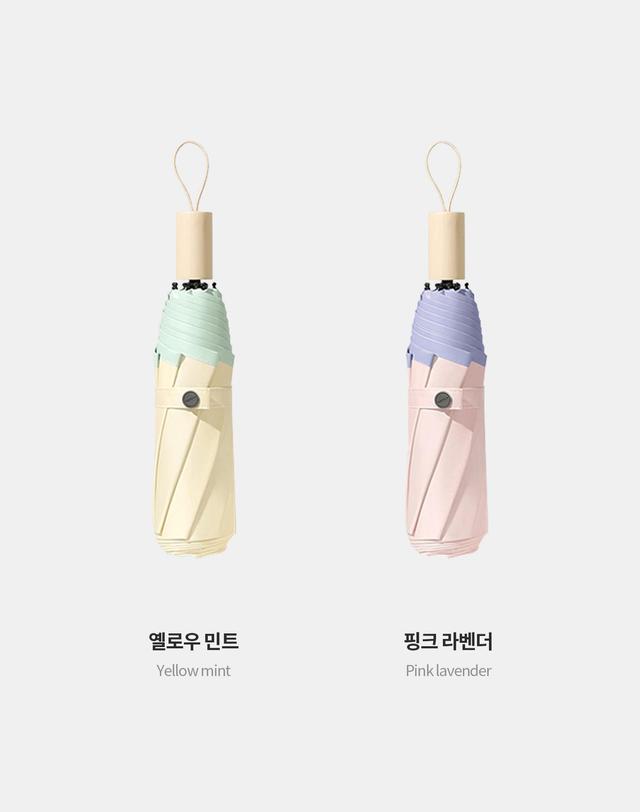 파스텔라 파스텔라 PS6 8K 3단 수동 투톤 양우산(UPF50+) 착용컷