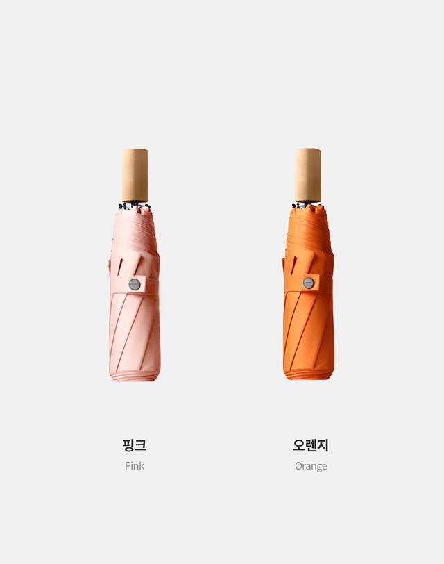 파스텔라 파스텔라 PS5 7K 3단 수동 양우산(UPF50+) 착용컷