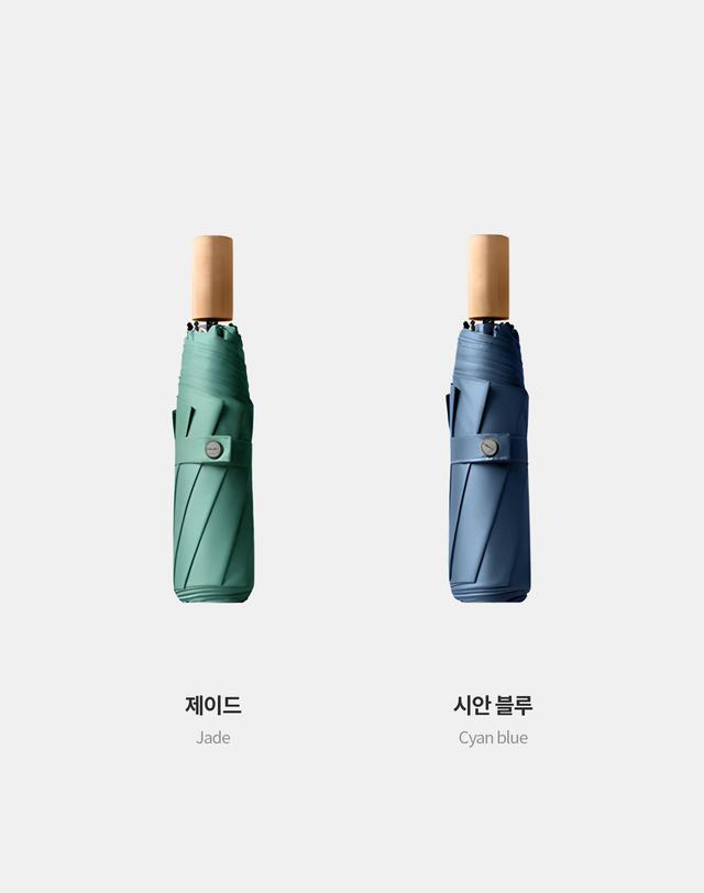 파스텔라 파스텔라 PS5 7K 3단 수동 양우산(UPF50+) 착용컷