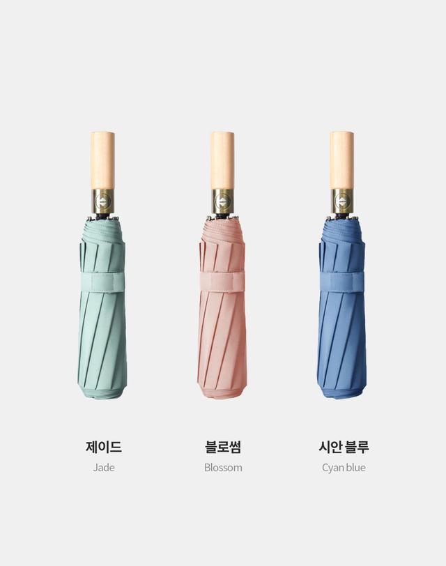 파스텔라 파스텔라 PS8 10K 3단 자동 원목 우산 착용컷