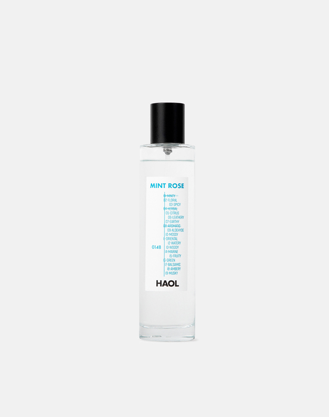 하올 멀티유즈 스프레이 민트로즈0148 - 100ml 블루 착용컷
