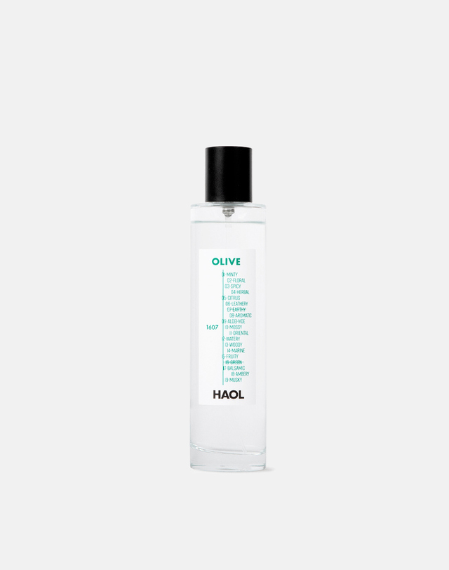 하올 멀티유즈 스프레이 올리브1607 - 100ml 블루 착용컷