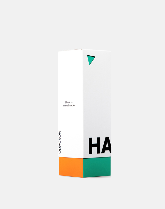 하올 멀티유즈 스프레이 올리브1607 - 100ml 블루 착용컷