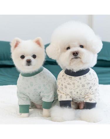 빌리지 골지 올인원