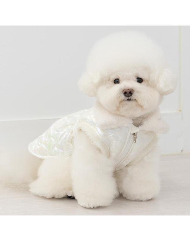 올치 러브빔 원피스 점퍼 착용컷