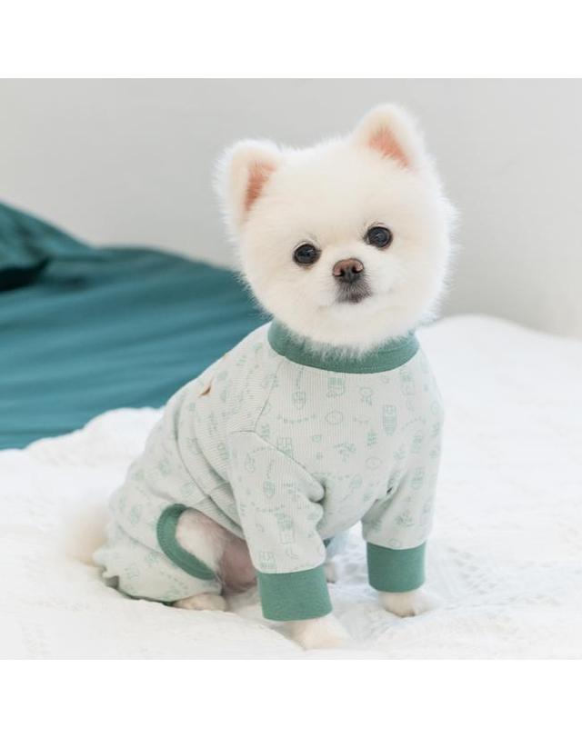 올치 빌리지 골지 올인원 착용컷