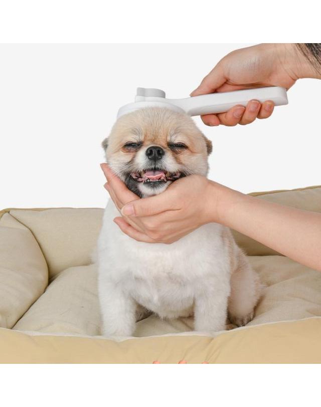 올치 [올치] 쏘옥 원터치 브러쉬_br6638 착용컷