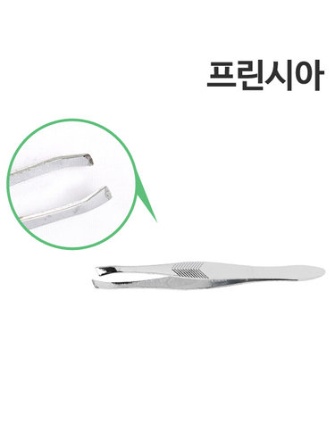 프린시아 쪽집게 (일반)