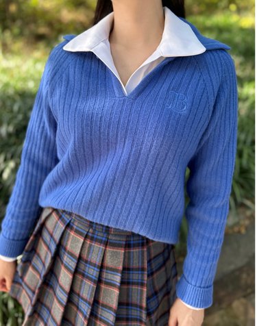 BALLIC Wool Collar Sweater (Blue)