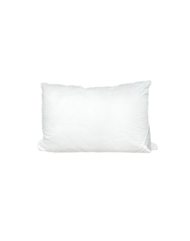 Vegan Goose duvet 베개솜