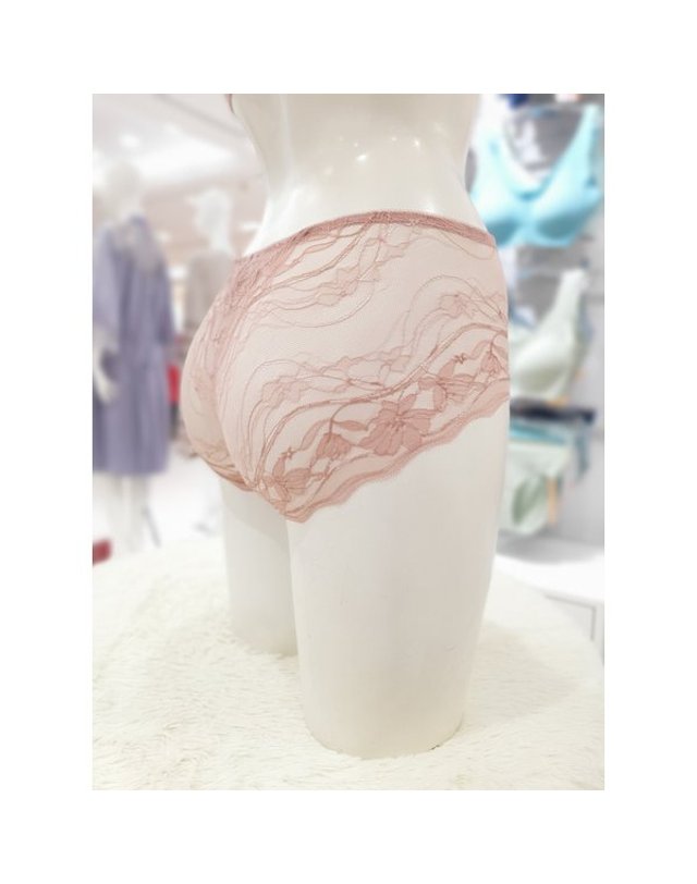 트라이엄프 Triumph [갤러리아] 코코아 Secret Slimming 힙스터 팬티 TBEF87R2529 2Q 착용컷