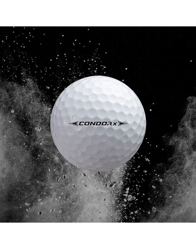 볼빅 볼빅 콘도르X 골프공 4PC 화이트(유광) 12개 착용컷