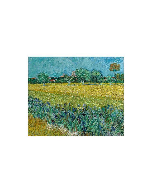 아이에스컴퍼니 [빈센트 반 고흐]명화 캔버스액자_아이리스가 있는 아를의 풍경(46x38.2cm) 착용컷