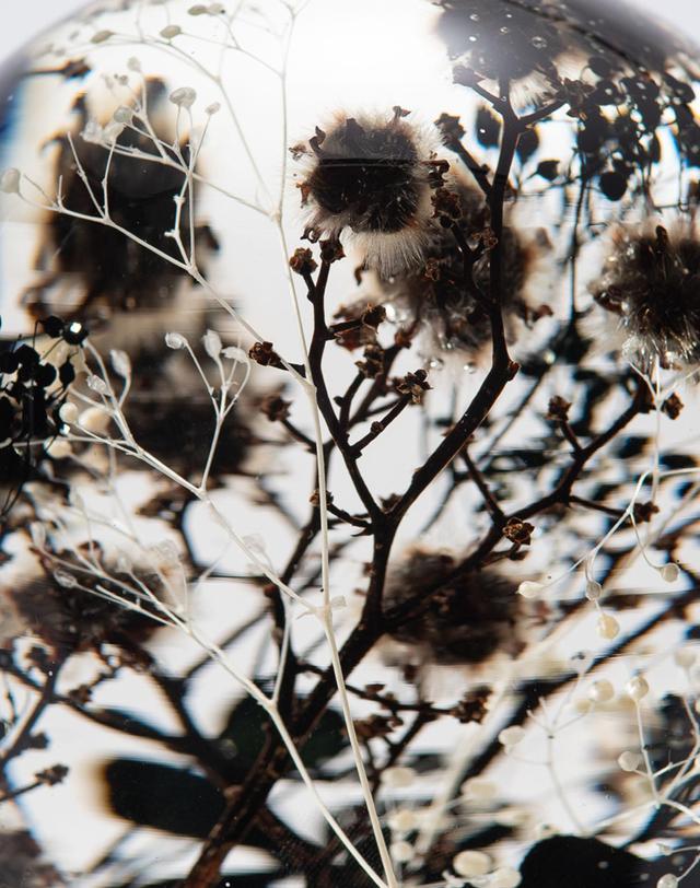 스타일지음 스타일지음 피스오브타임(pieces of time) 하바리움 - 미드나잇스카이 착용컷