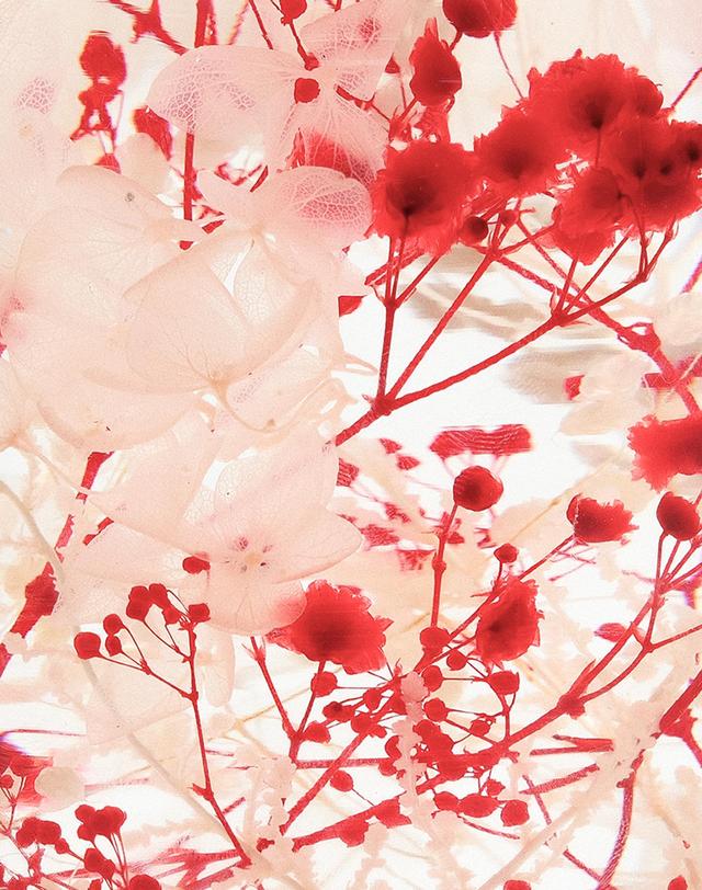 스타일지음 스타일지음 피스오브타임(pieces of time) 하바리움 - 와일드 블룸 착용컷