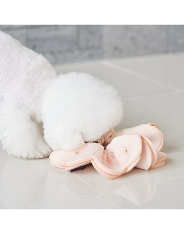 [비타그램] 반려생각 노즈플라워 PT-002