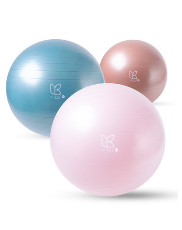 PVC 안티버스트 임산부 짐볼 65cm 요가 운동볼