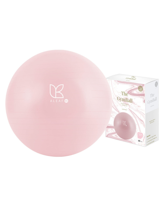 아리프 PVC 안티버스트 임산부 짐볼 65cm 요가 운동볼 착용컷