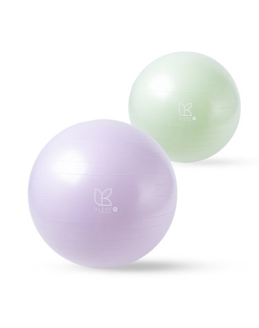 PVC 안티버스트 임산부 짐볼 55cm 요가 운동볼