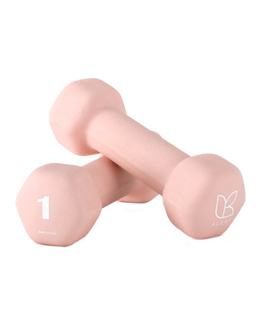 선인장 미용아령 1kg 세트 홈트 덤벨 헬스