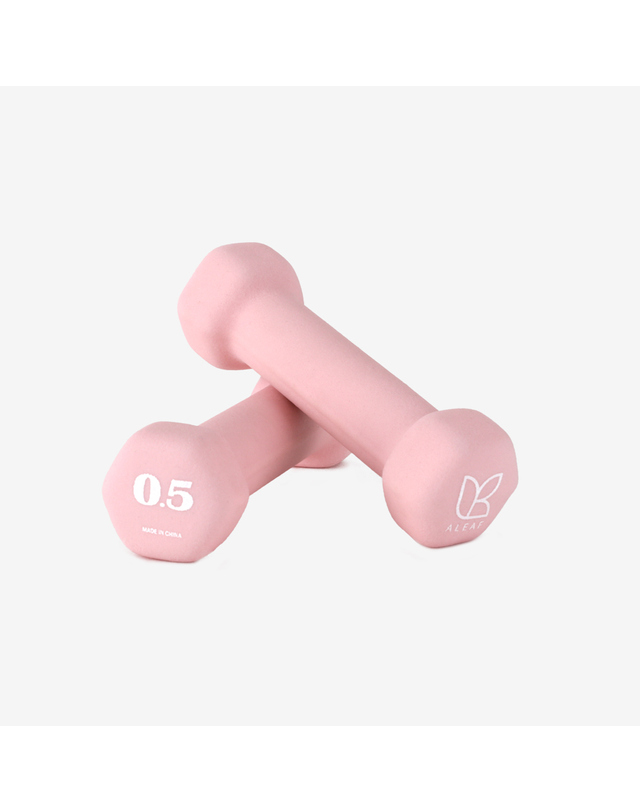 아리프 선인장 미용아령 0.5kg 세트 홈트 덤벨 헬스 착용컷