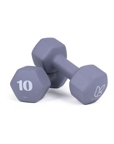 아리프 선인장 미용 아령 여자 홈트 덤벨 10kg 2개 모브 그레이