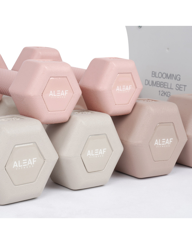 아리프 WSL 아리프 블루밍 덤벨세트 12kg 착용컷