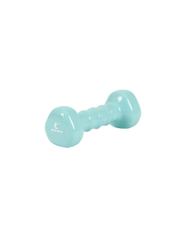 아이워너 삼각 pvc 컬러아령 1.5kg / 네오민트