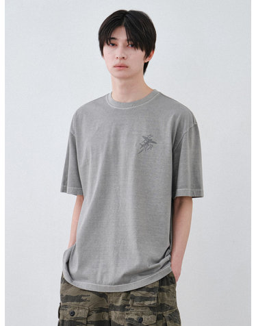 스텔라 피그먼트 반팔티 (GREY)