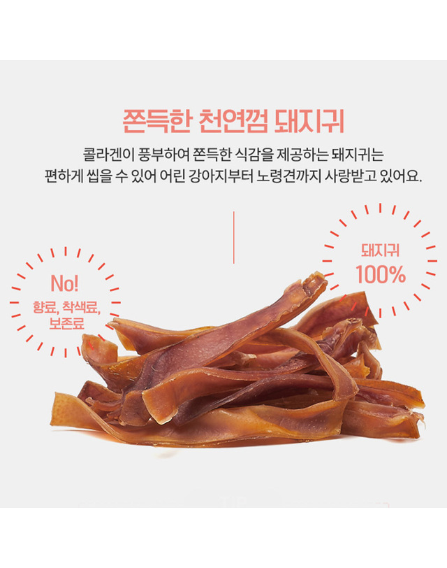 골드로니 골드로니 예스아임리얼 쫀득천연껌 돼지귀 착용컷