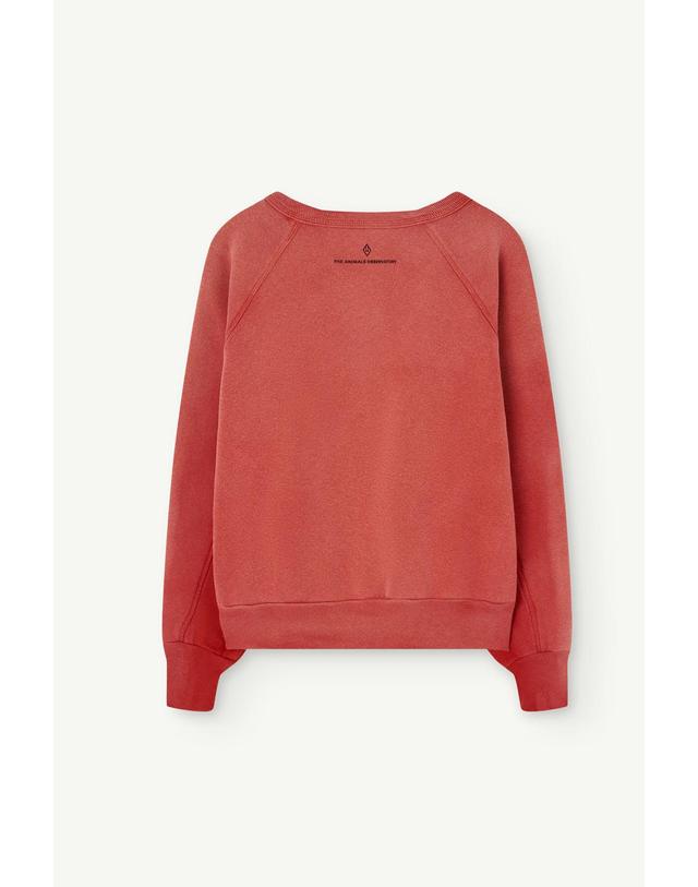 타오 TAO 타오 26FW 아동 맨투맨 SHARK WARM KID SWEATSHIRT F26121-185-EP 착용컷