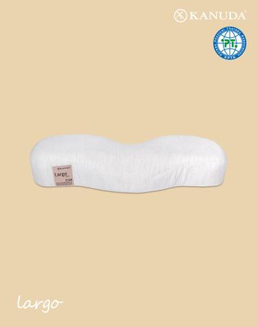 가누다 골드라벨 라르고(Soft) 기능성 경추 베개