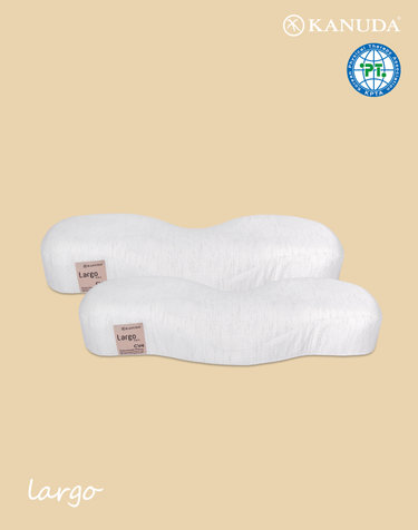 가누다 골드라벨 라르고(Soft) 기능성 경추베개 2개세트